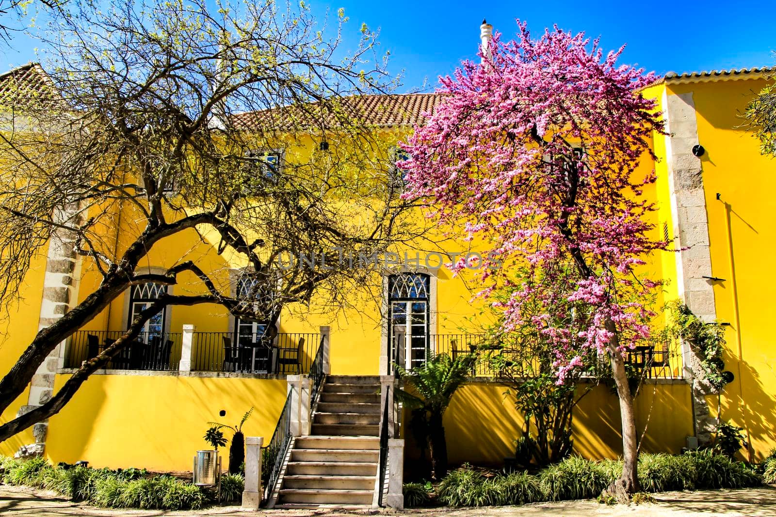 Beautiful yellow house with colorful garden in Oeiras, Lisbon, Portugal