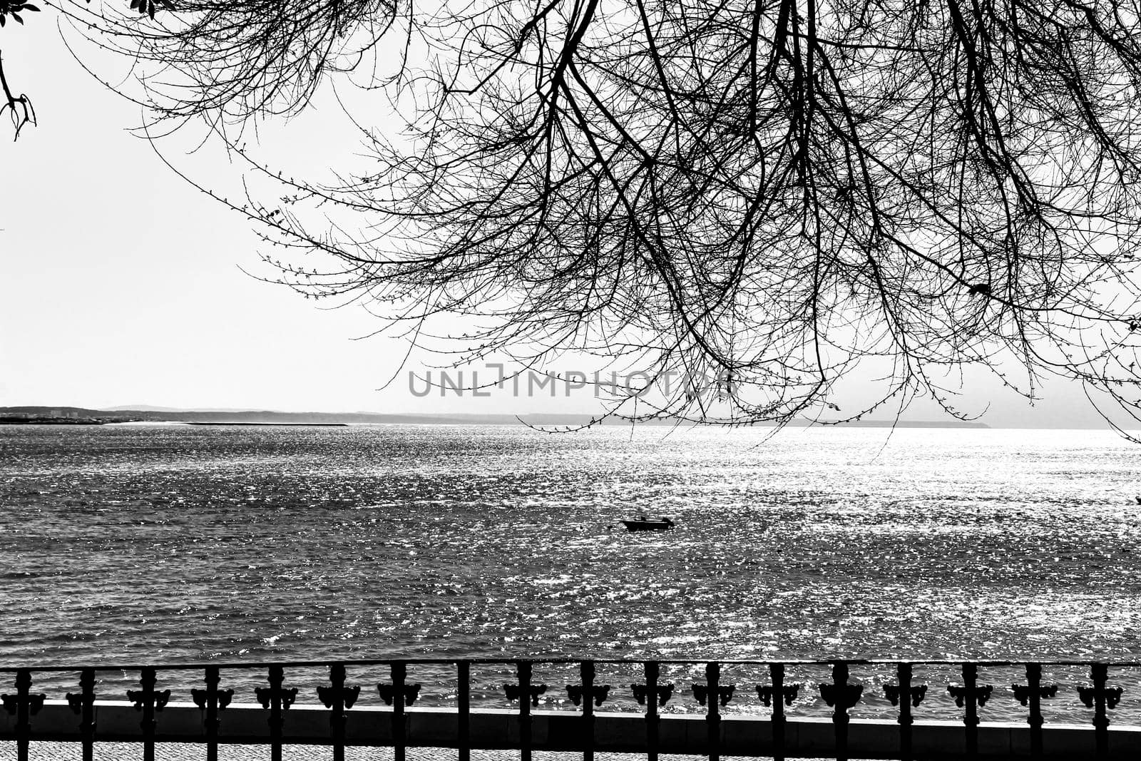 Viewpoint overlooking the Tagus River on a bright spring day