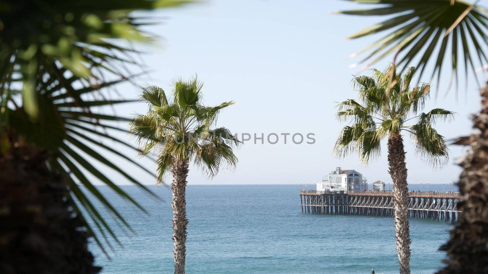 Pacific ocean beach, green palm trees and pier. Sunny day, tropical waterfront resort. Vista viewpoint in Oceanside, near Los Angeles California USA. Summer sea coast aesthetic, seascape and blue sky.