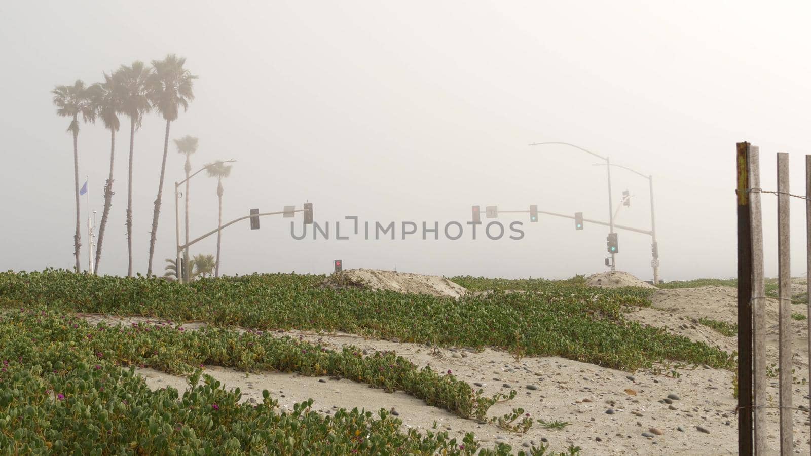 Traffic light semaphore, highway road by sandy misty beach, Encinitas California USA. Pacific ocean coast, fog on sea shore. Coastline near Los Angeles, palms in smog haze. Gloomy weather on shoreline