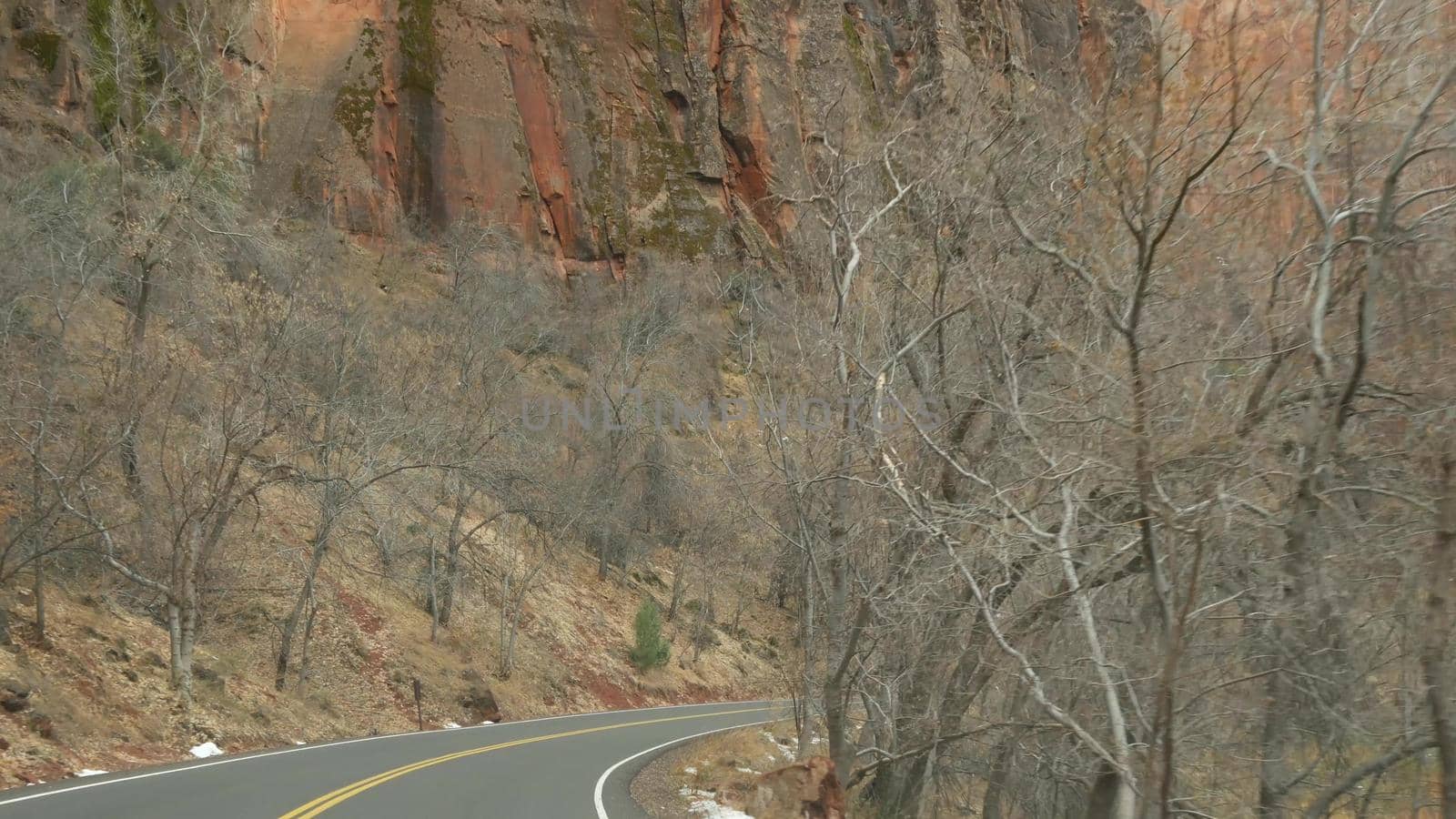 Road trip, driving auto in Zion Canyon, Utah, USA. Hitchhiking traveling in America, autumn journey. Red alien steep cliffs, rain and bare trees. Foggy weather and calm fall atmosphere. View from car.