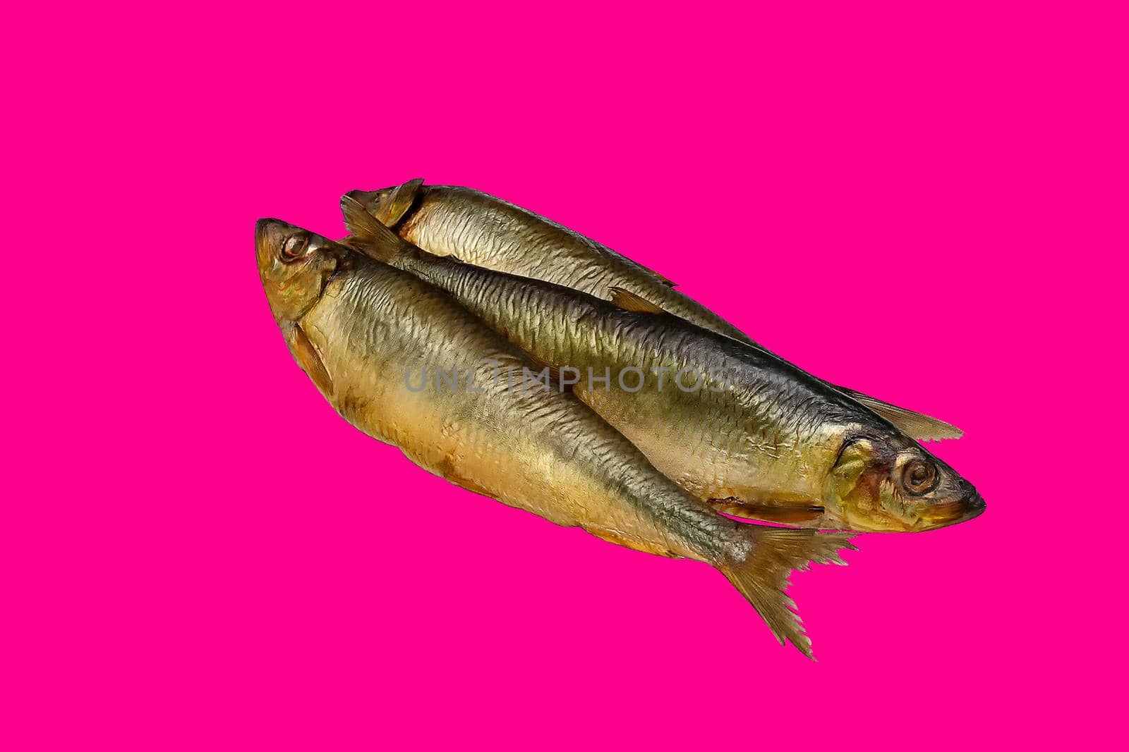 Fish herring iwasi smoked against pink background. Front view, indoors horizontal shot. by Essffes