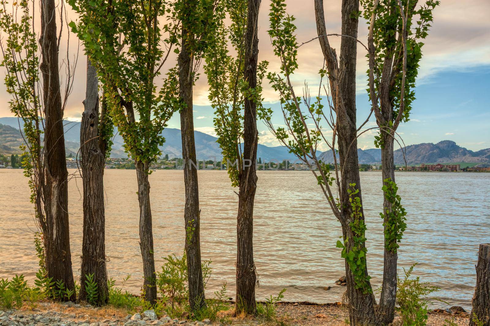 Golden sunset on Osoyoos lake. Summer season in Okanagan valley.