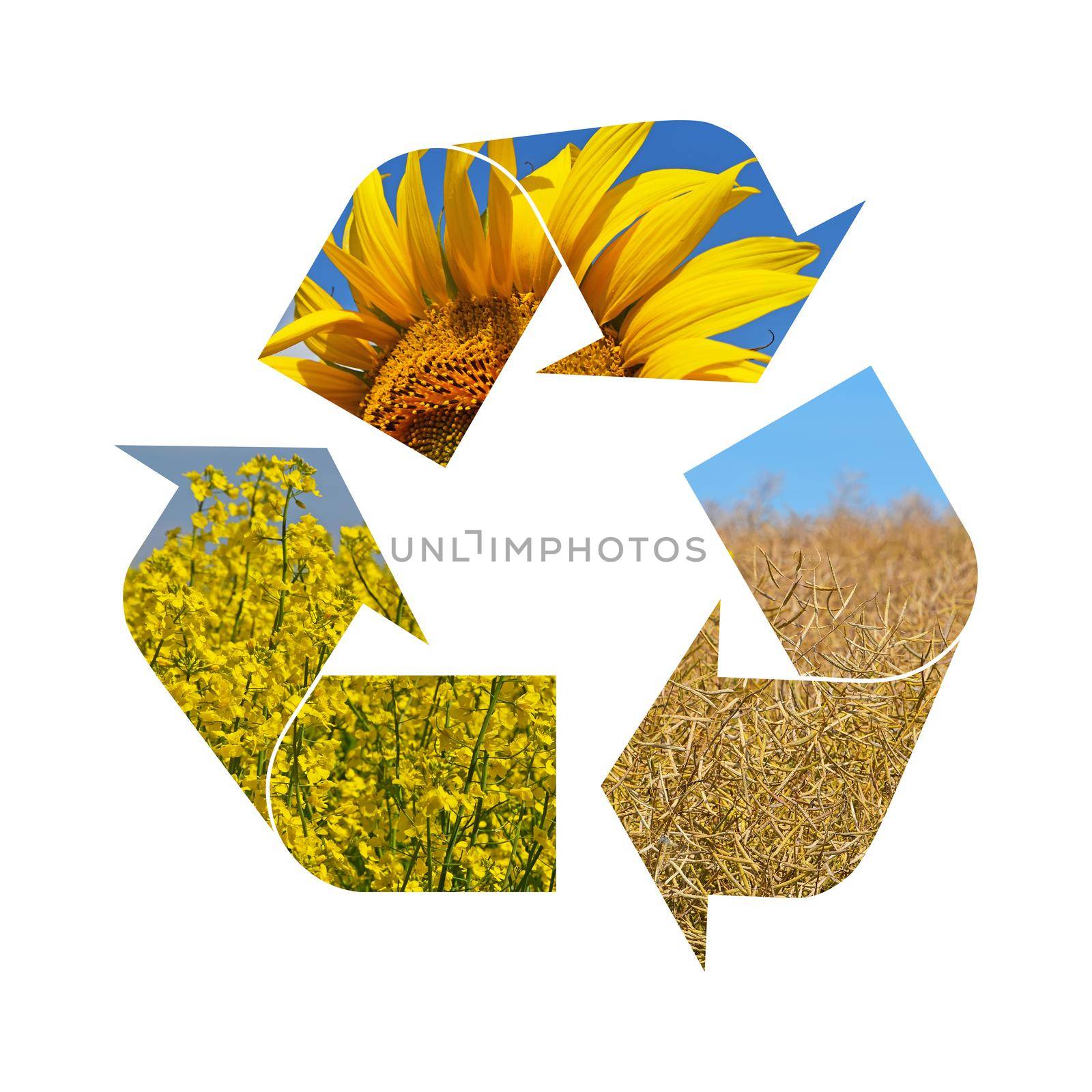 Illustration recycling symbol of agriculture by BreakingTheWalls