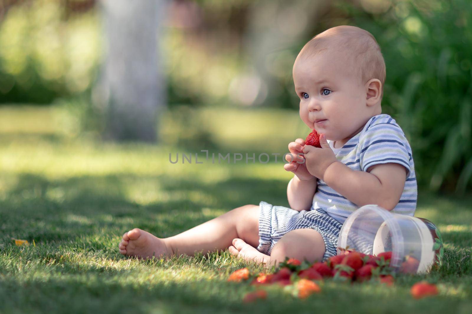 Adorable baby sitting on the grass in the garden and eat strawberry