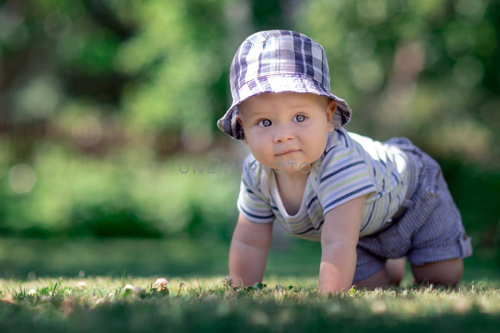 Little boy in blue checkered clothes crawling on the green grass by Lincikas