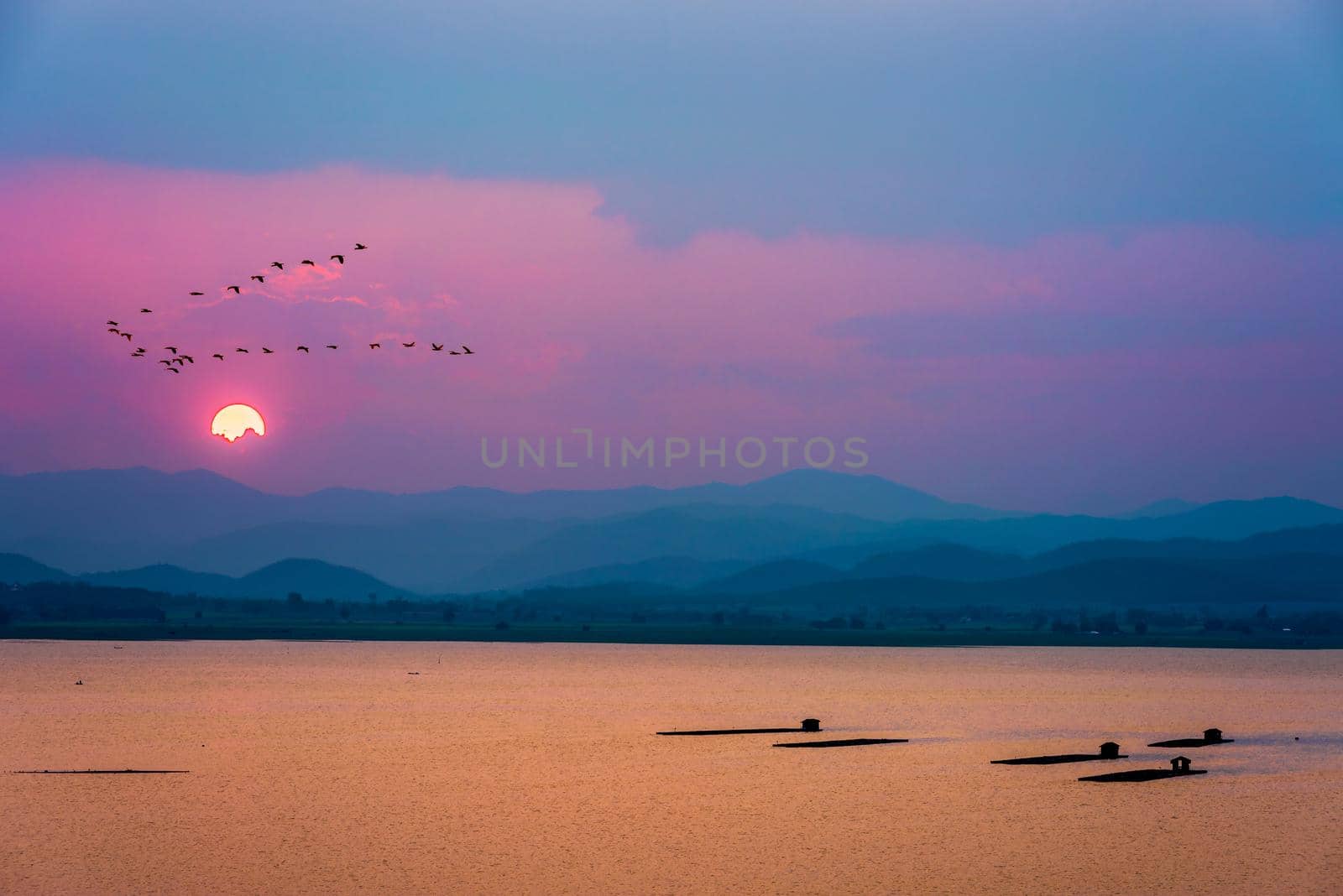 Beautiful nature landscape red sun on colorful sky and birds flock flying in a row over mountain and lake water during sunset, fish farming in cages background at Krasiao Dam, Suphan Buri in Thailand