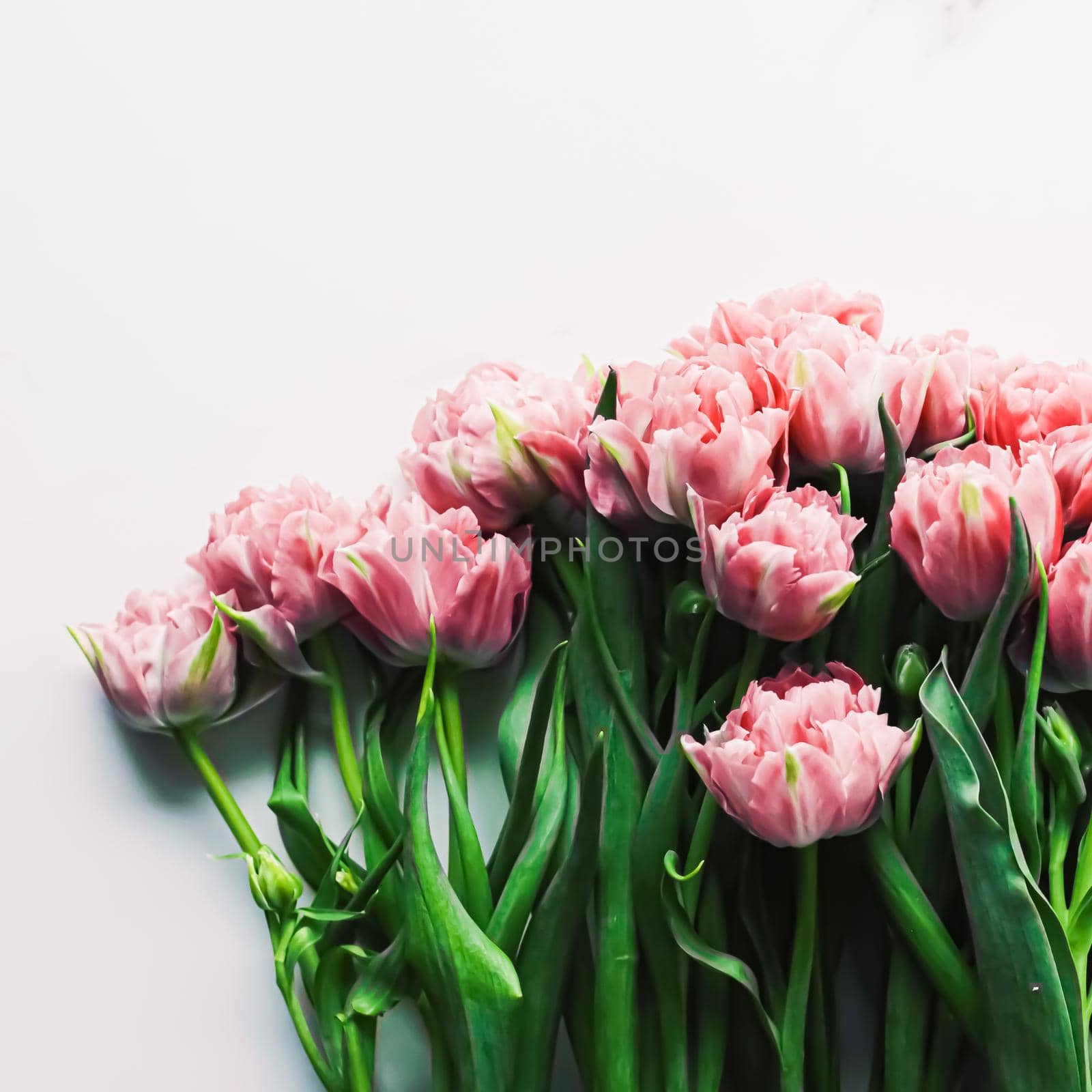 Spring flowers on marble background as holiday gift, greeting card and floral flatlay concept