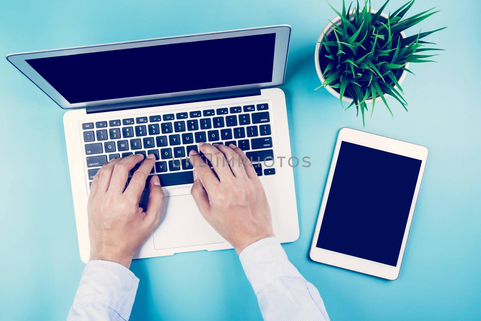 Hand of businessman working on laptop computer with plant and tablet and phone on desk in office, hand typing keyboard on notebook and workplace with copy space, top view, flat lay, business concept.