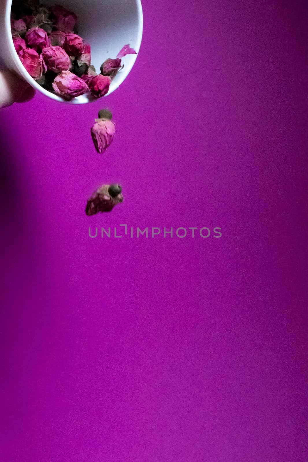 Pink little roses falling from a white paper cup on a pink background by oliavesna