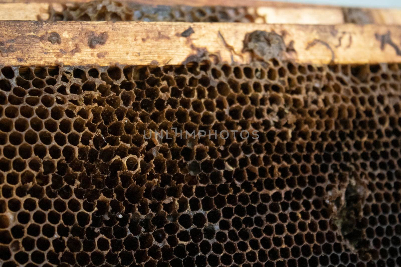 used honeycombs. houses of bees - hive. beekeeping. beekeeper. apiculture concept. High quality photo