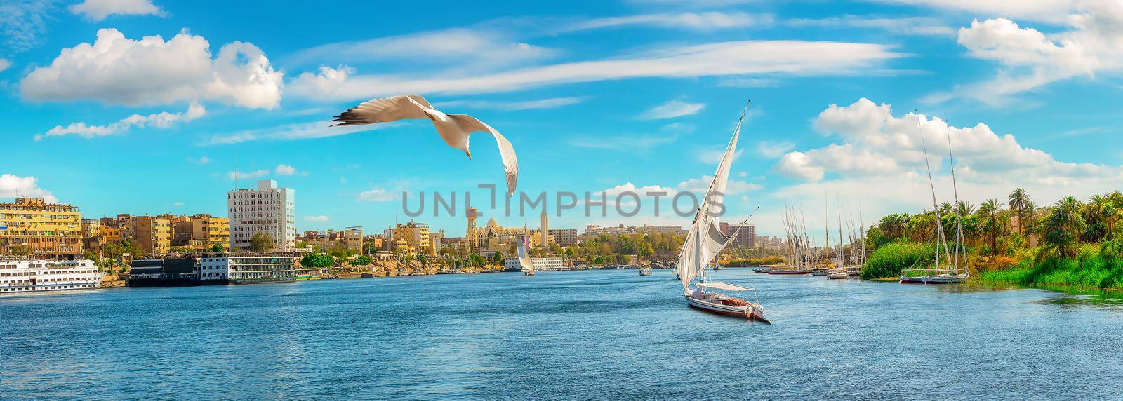 Panoramic view of Aswan city at summer day