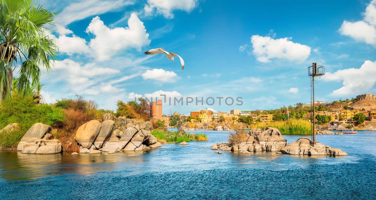 Travel to Aswan city on the Nile river, Egypt