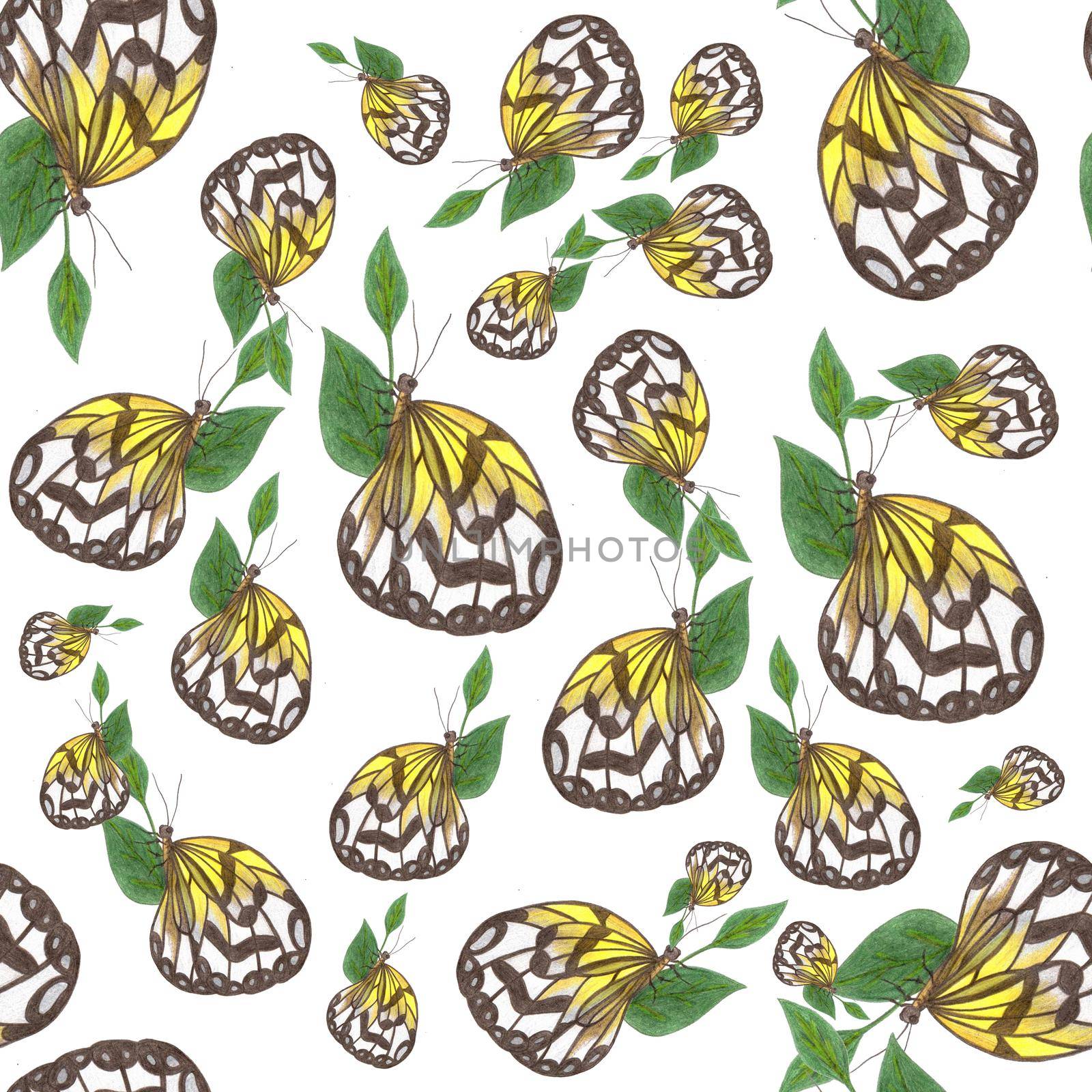 Hand-Drawn Seamless Pattern of Gray and Yellow Colored Butterflies of Various Sizes on White Backdrop.