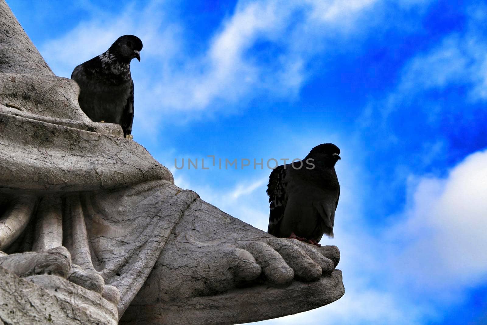 Pigeons perched on granite statue in Rossio Square in Lisbon