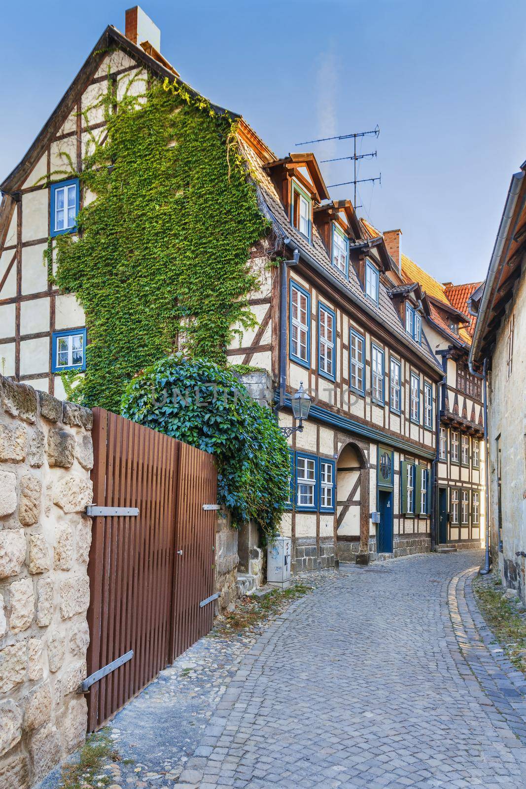 Street in Quedlinburg, Germany by borisb17