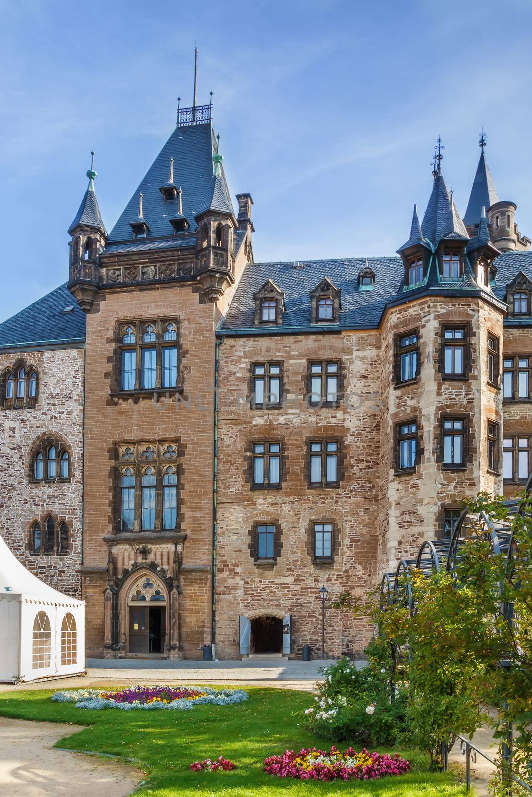 Wernigerode castle, Germany by borisb17