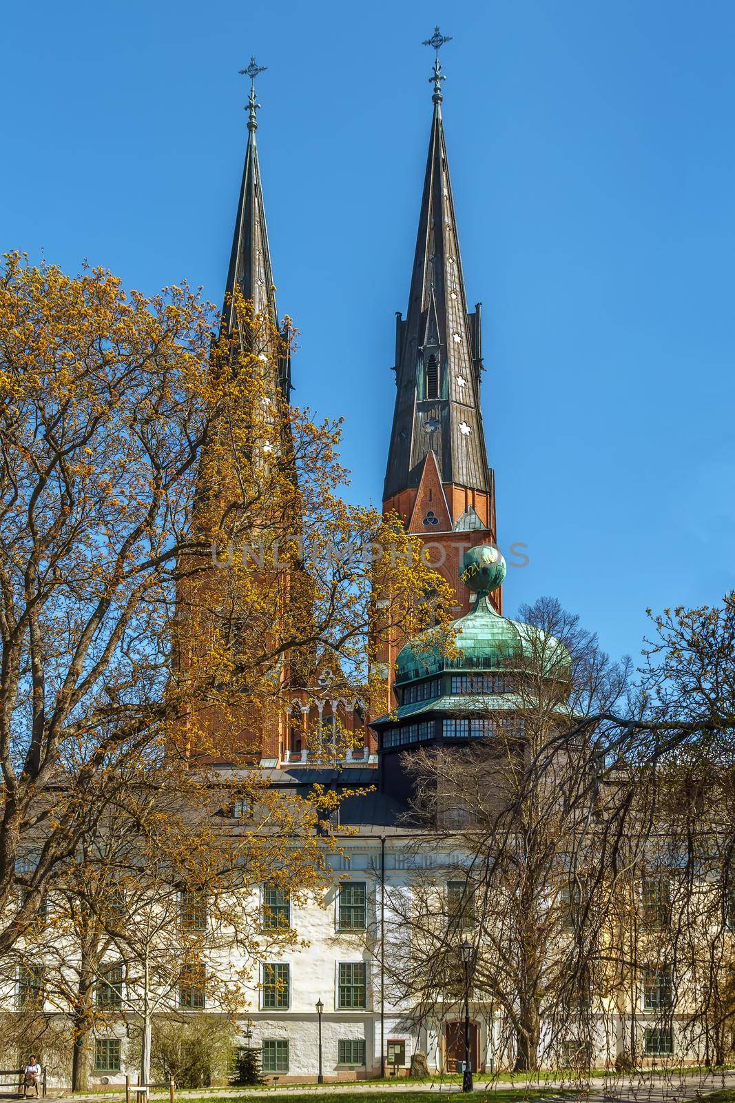 Uppsala Cathedral and Gustavianum, Sweden by borisb17