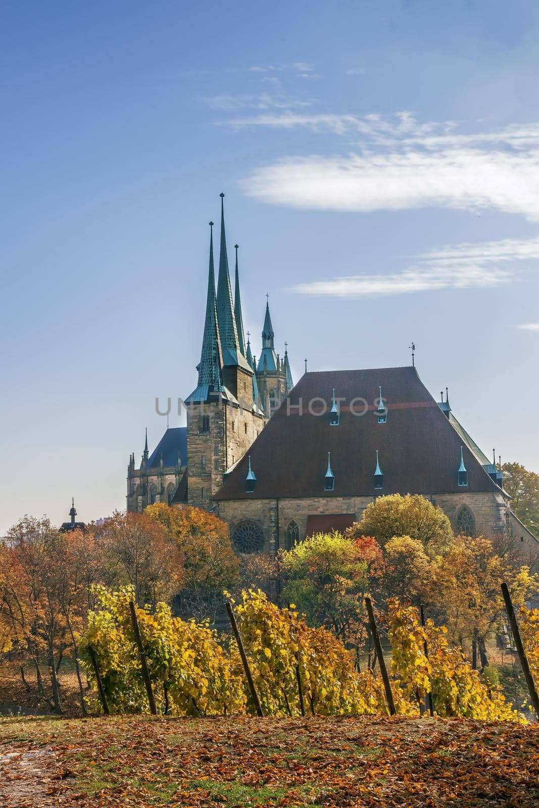 View of Erfurt cathedral, Germany by borisb17