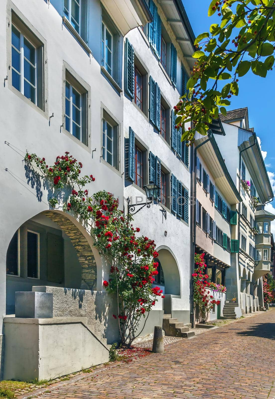 Street in Rapperswil old town with rose, Switzerland