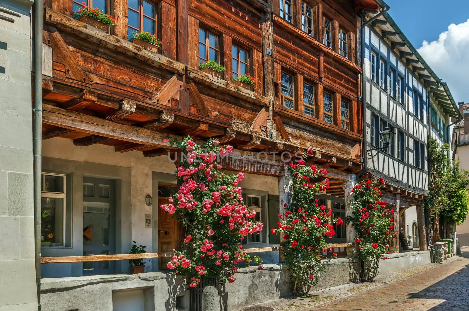 Street in Rapperswil old town with rose, Switzerland