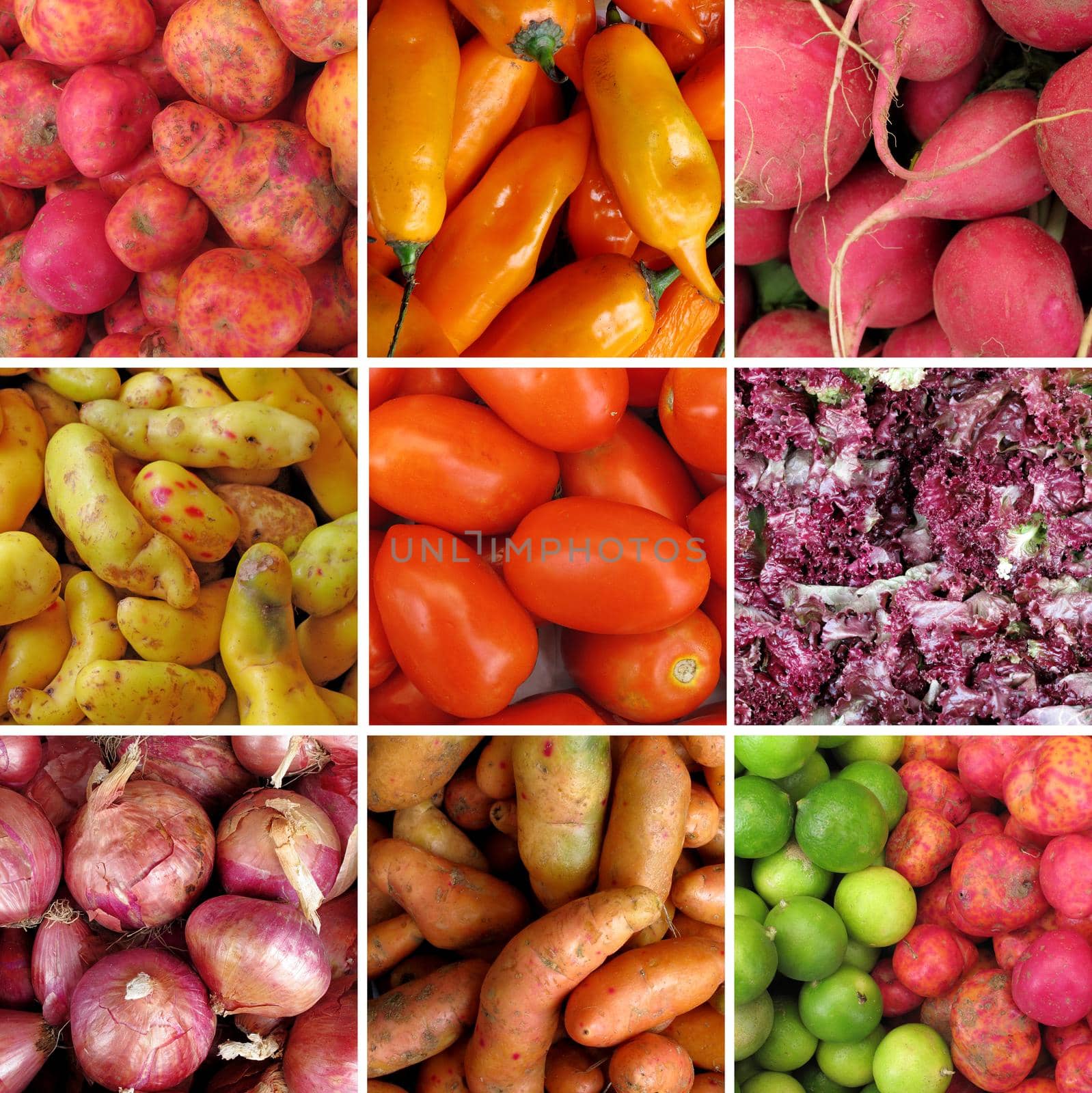 Group of raw vegetables closeup