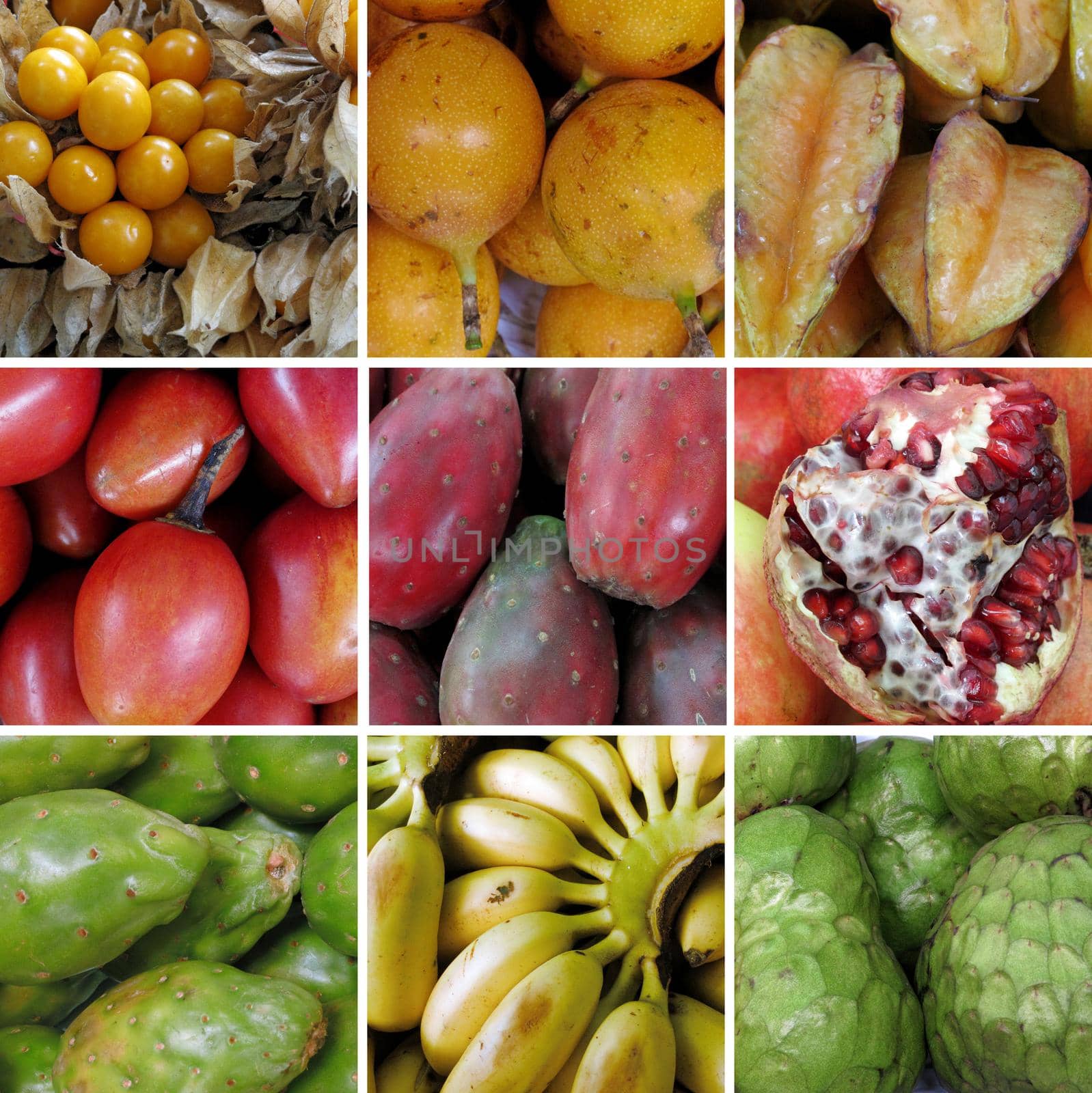 Group of raw fruits closeup