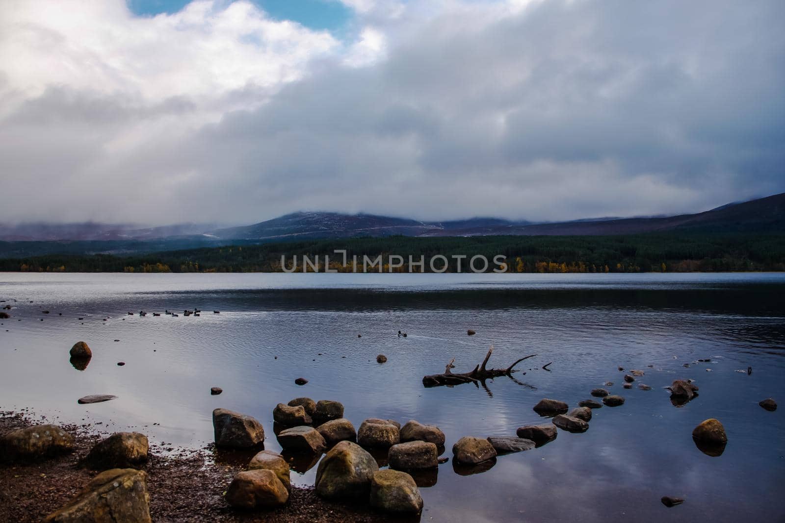 The beautiful Loch Morlich in Scotland, Cairngorm Mountains, United Kingdom by Weltblick