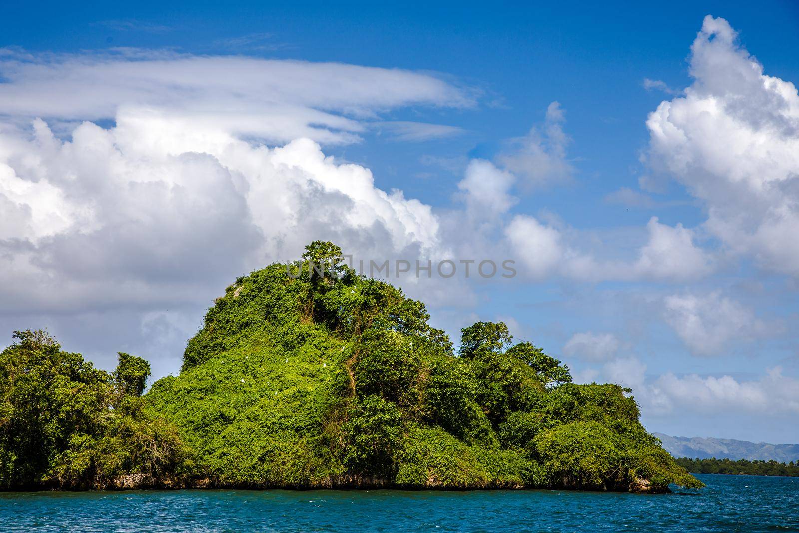 Los Haitises National Park, Dominican Republic, Caribbean, Middle America by Weltblick