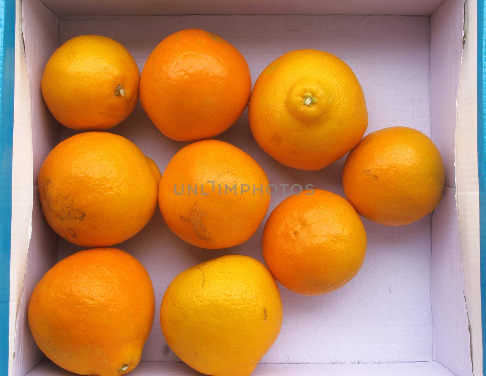 Fresh orange group by aroas