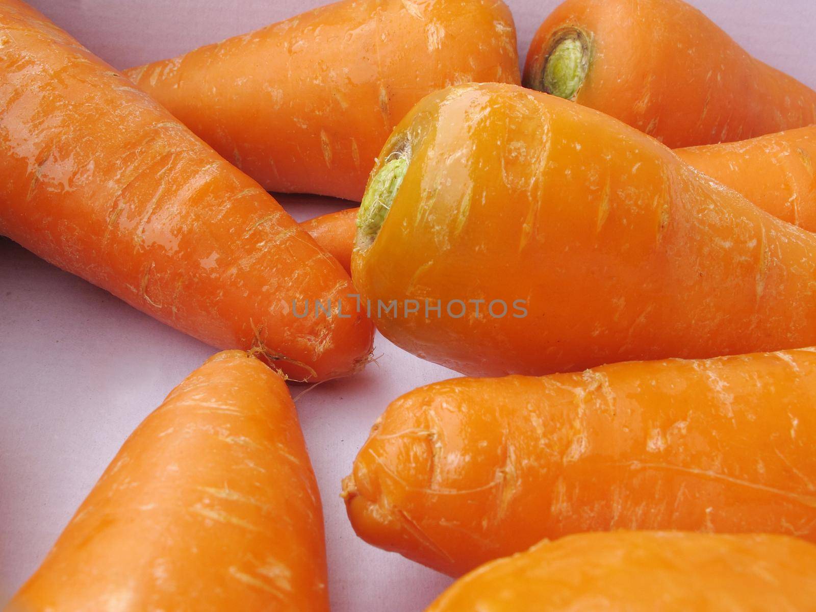 Fresh carrots vegetable collection closeup