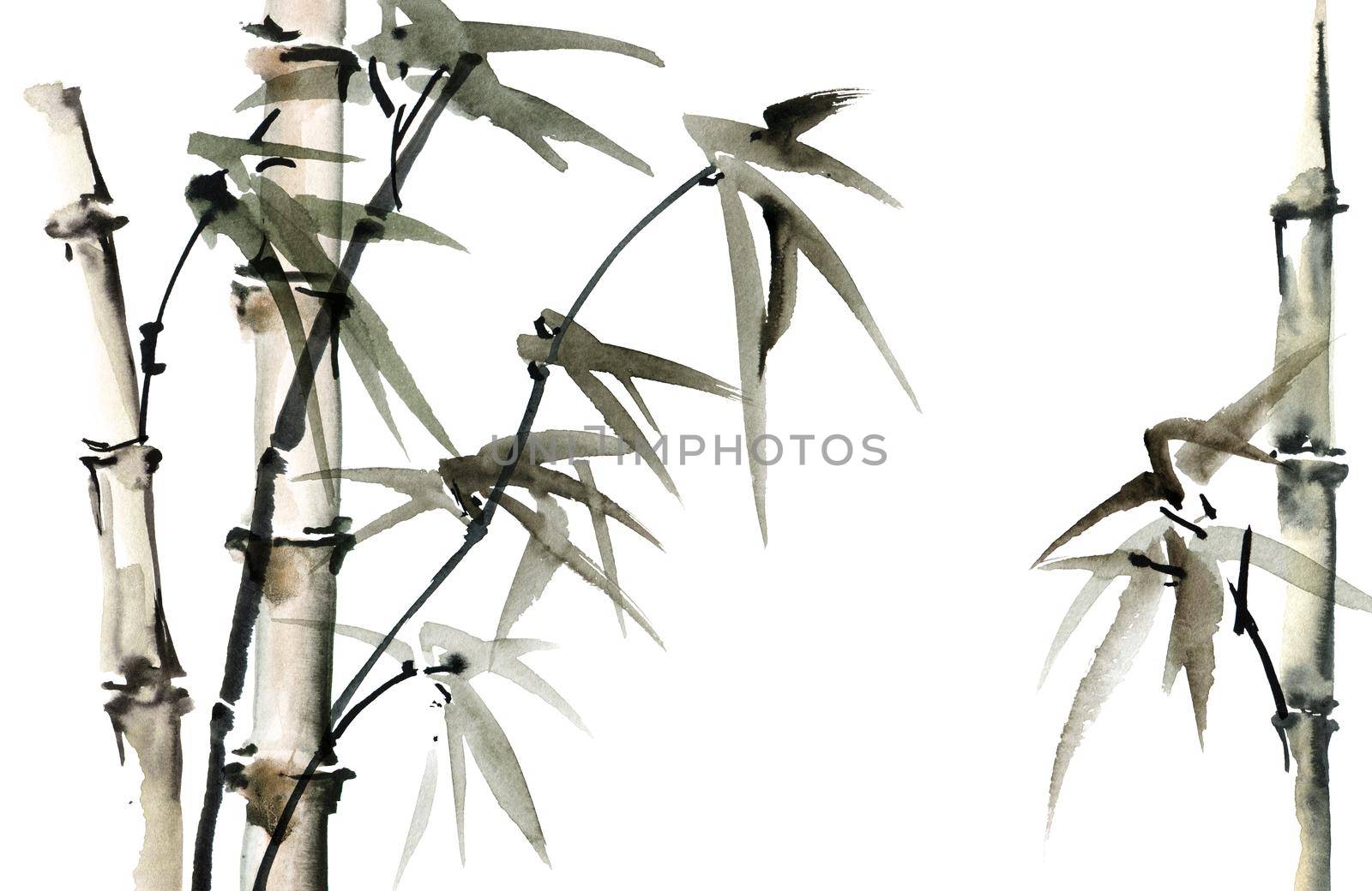 Watercolor illustration of bamboo with leaves on white background. Oriental traditional painting, sumi-e.