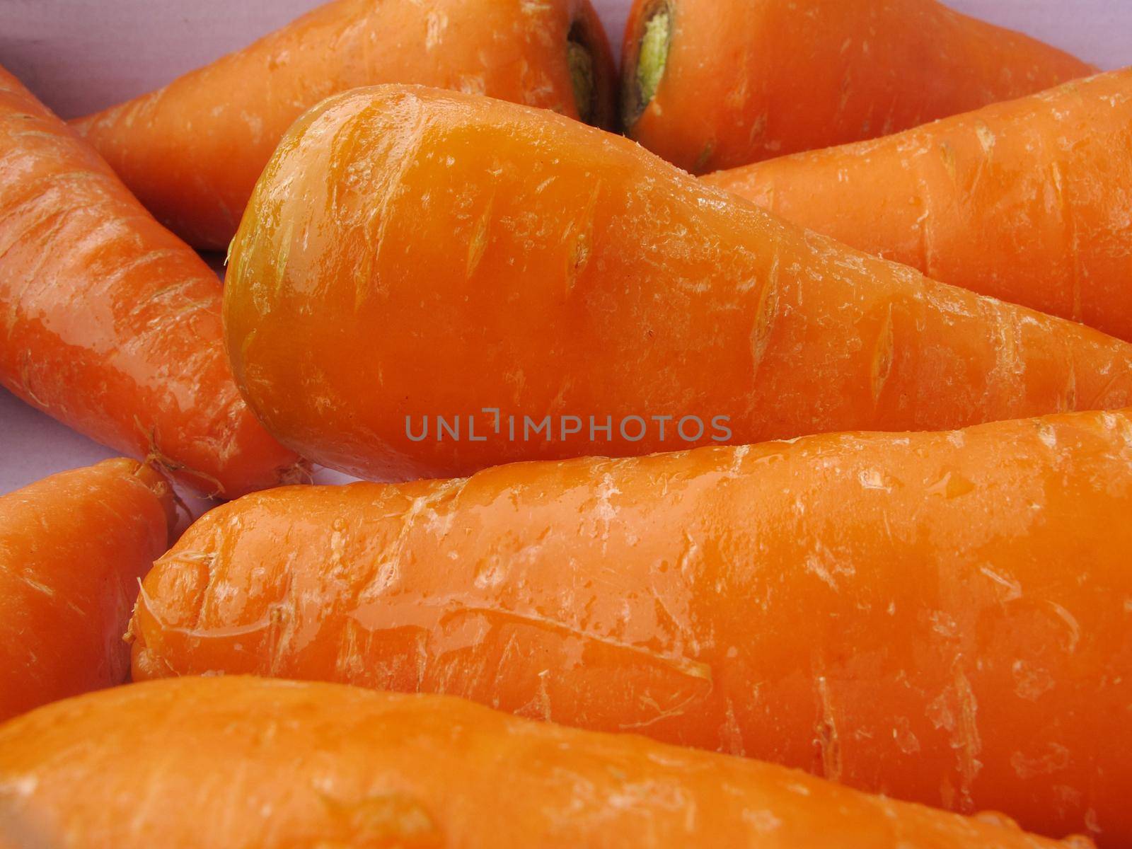 Fresh carrots vegetable collection closeup