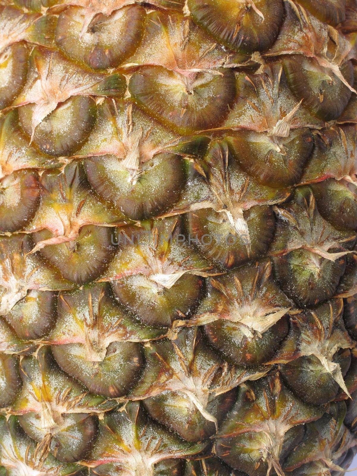 pattern of ripe pineapple by aroas