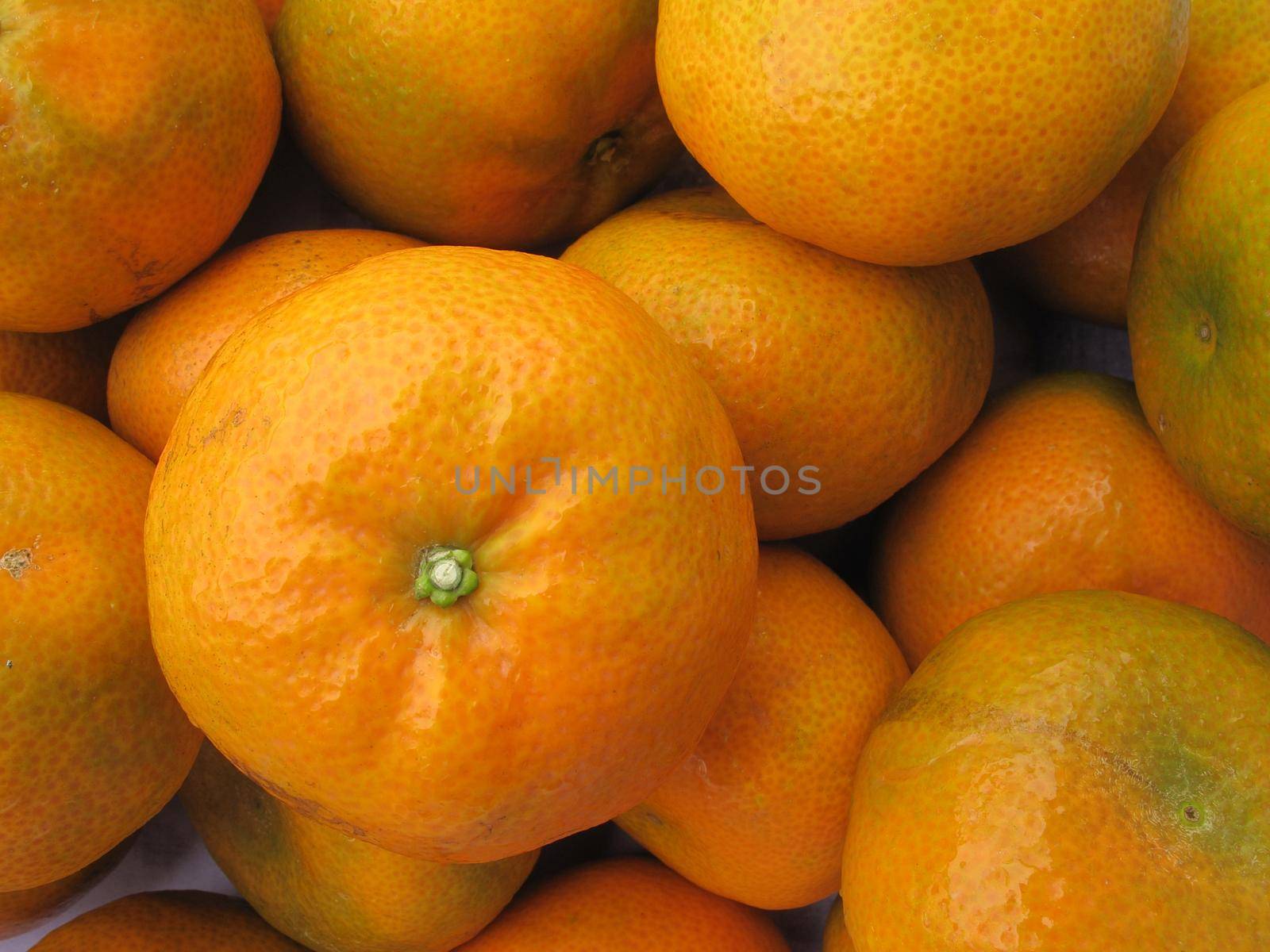 Fresh tangerine fruit collection closeup