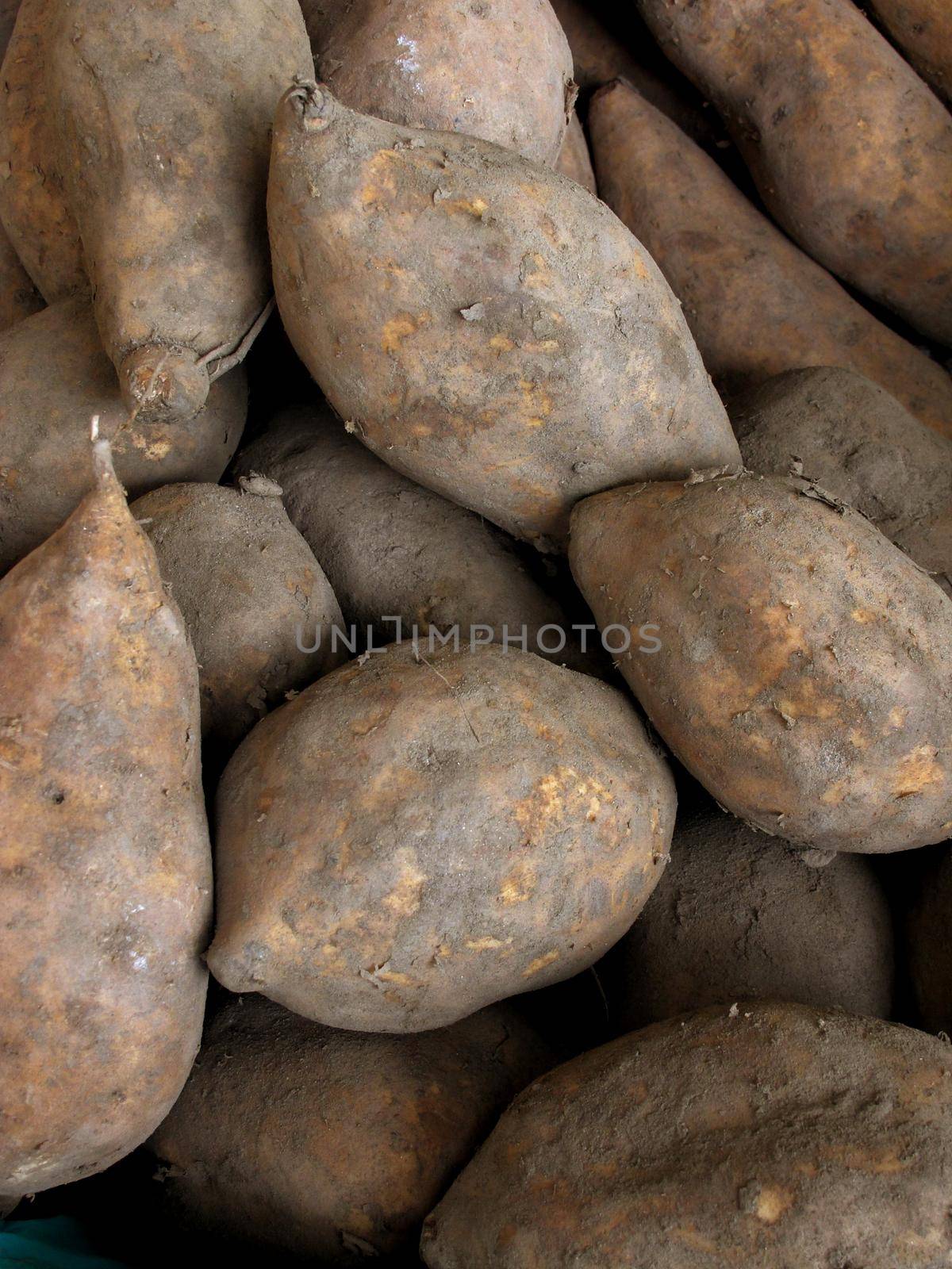 Sweet peruvian potato by aroas