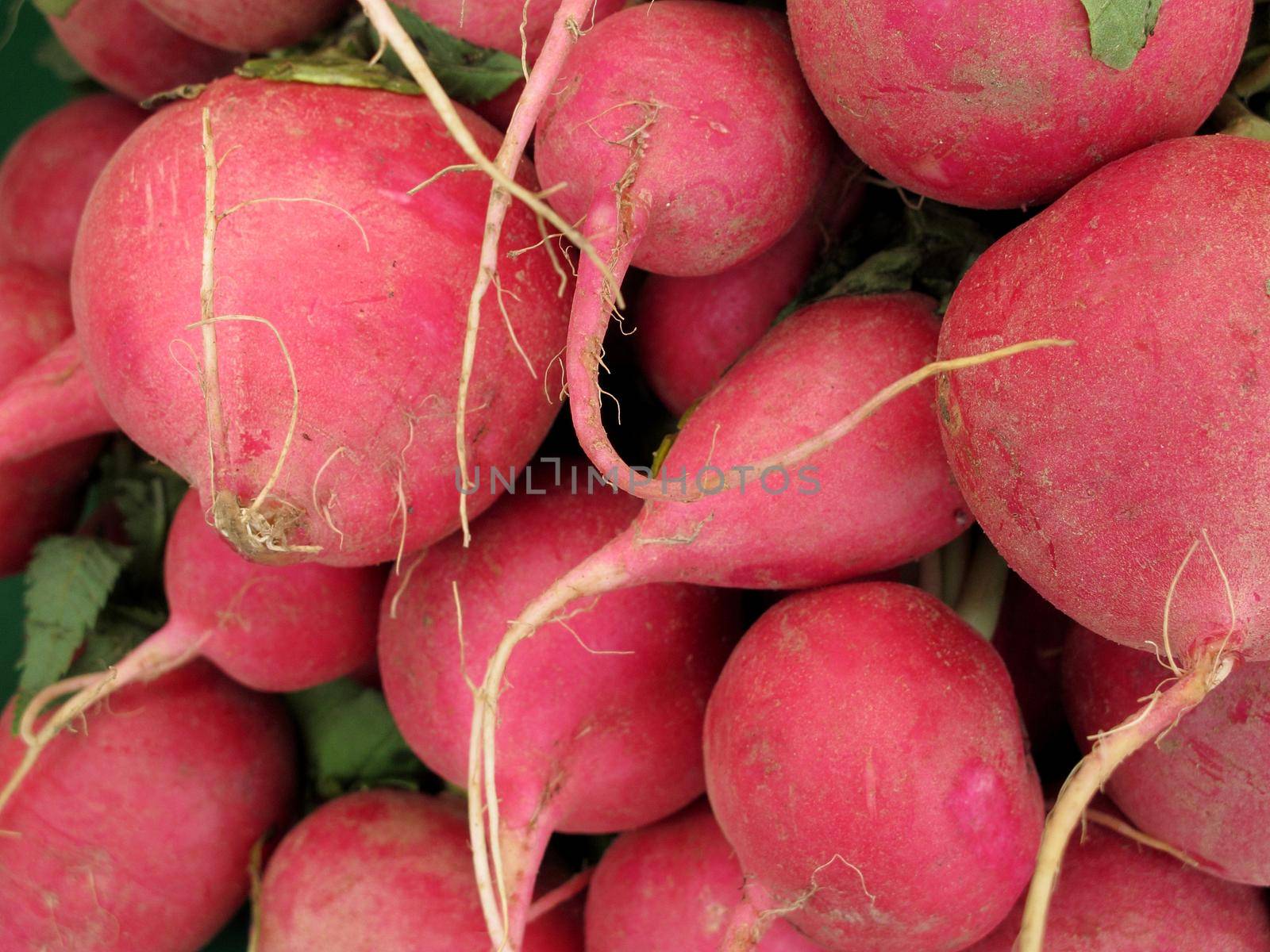 fresh radish background by aroas