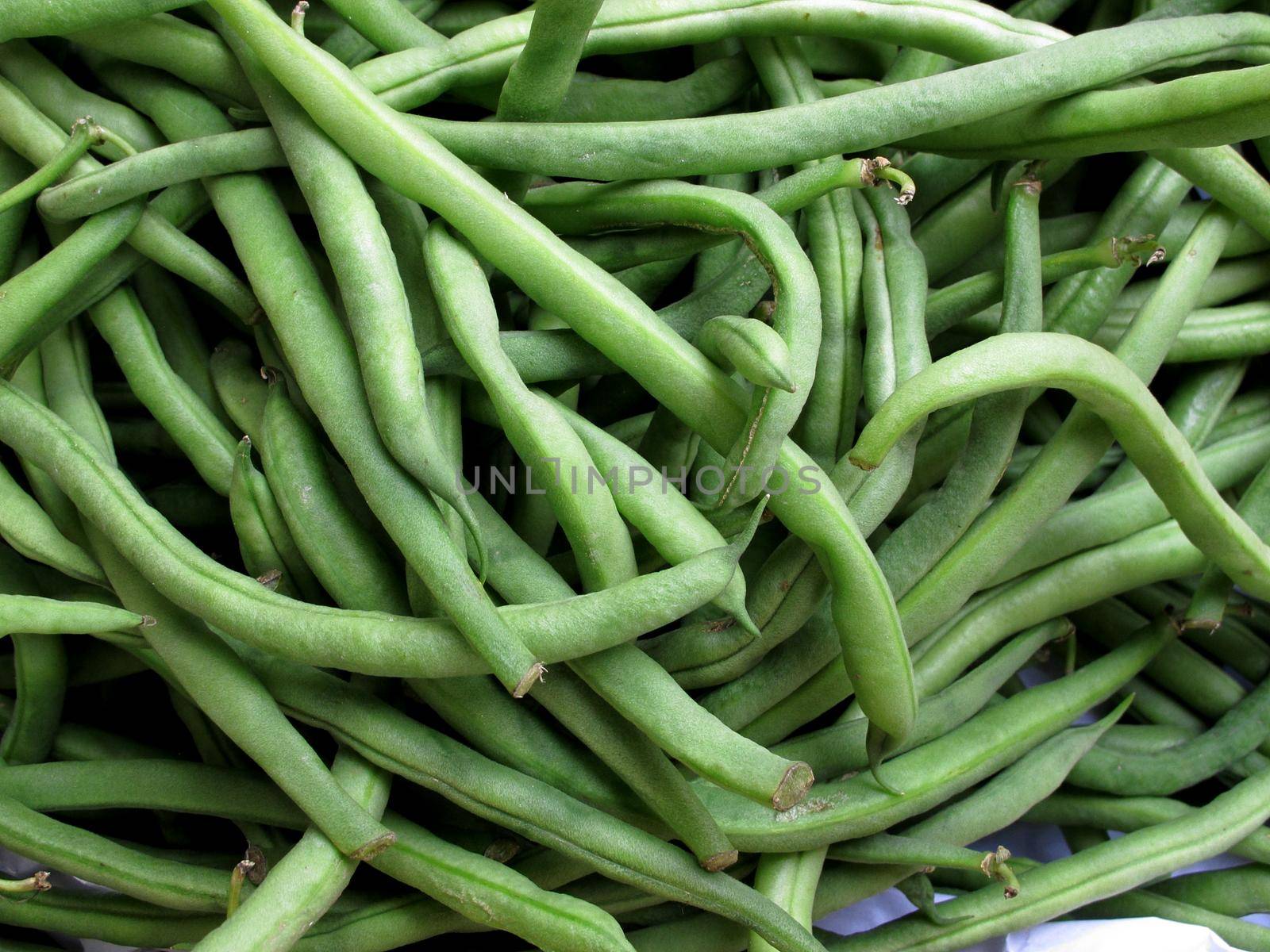 fresh Green beans vegetable collection