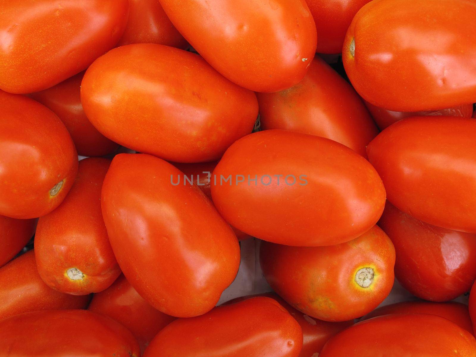 fresh organic Red tomatoes background