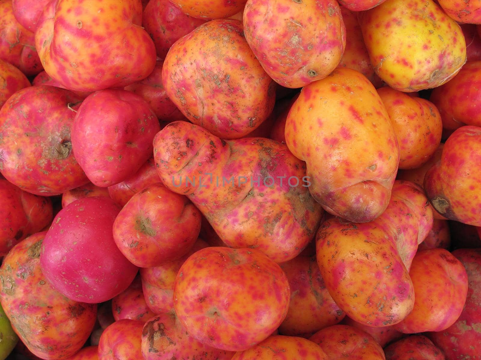 Fresh Red Potatoes by aroas
