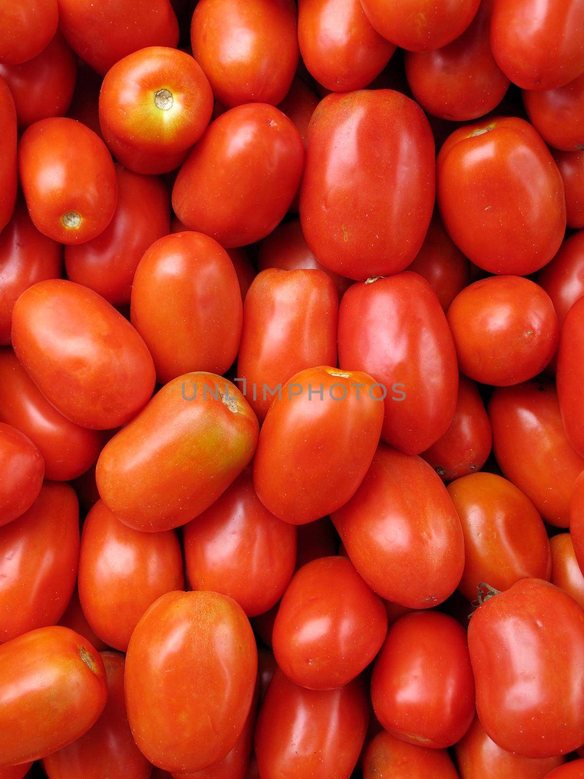 fresh organic Red tomatoes background