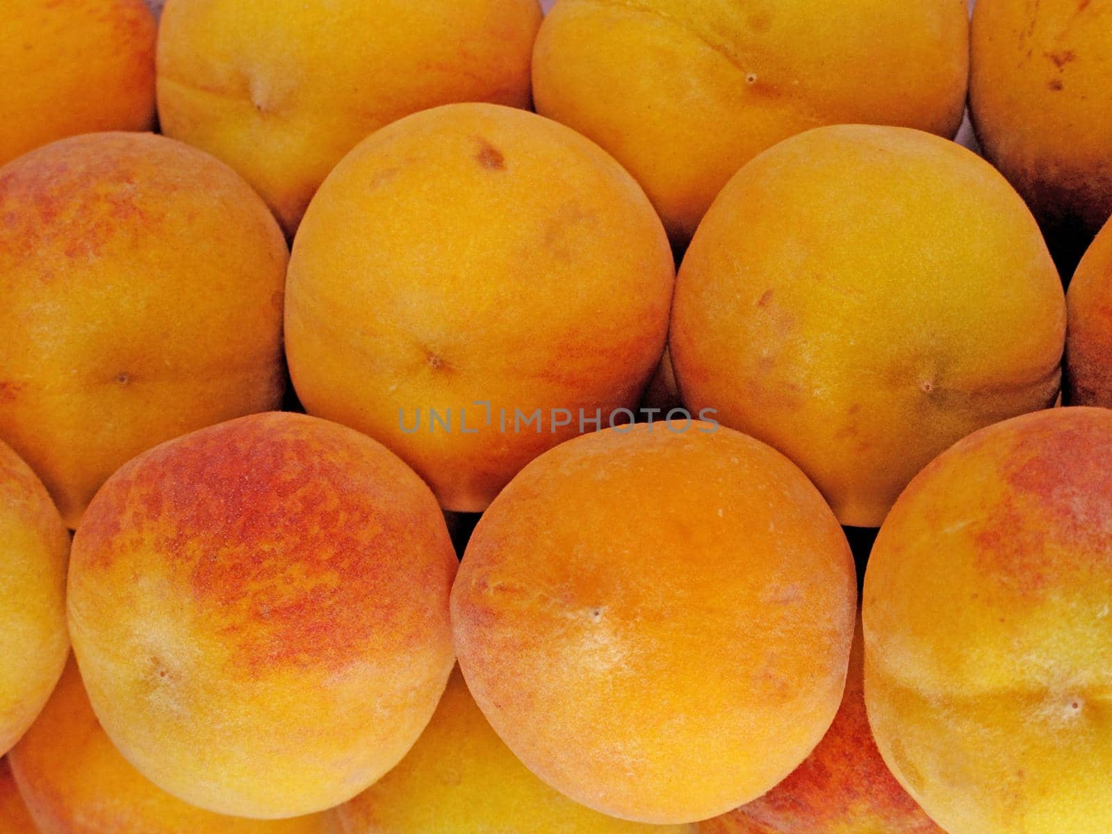 Ripe fresh peaches background closeup