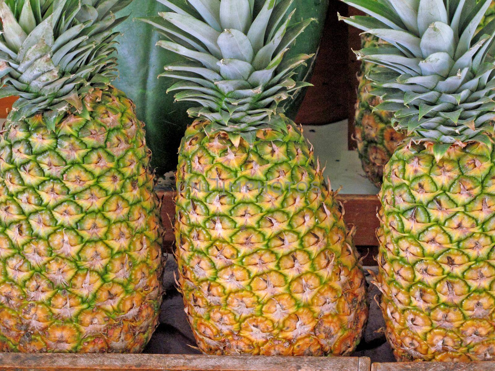 pattern of ripe pineapple by aroas