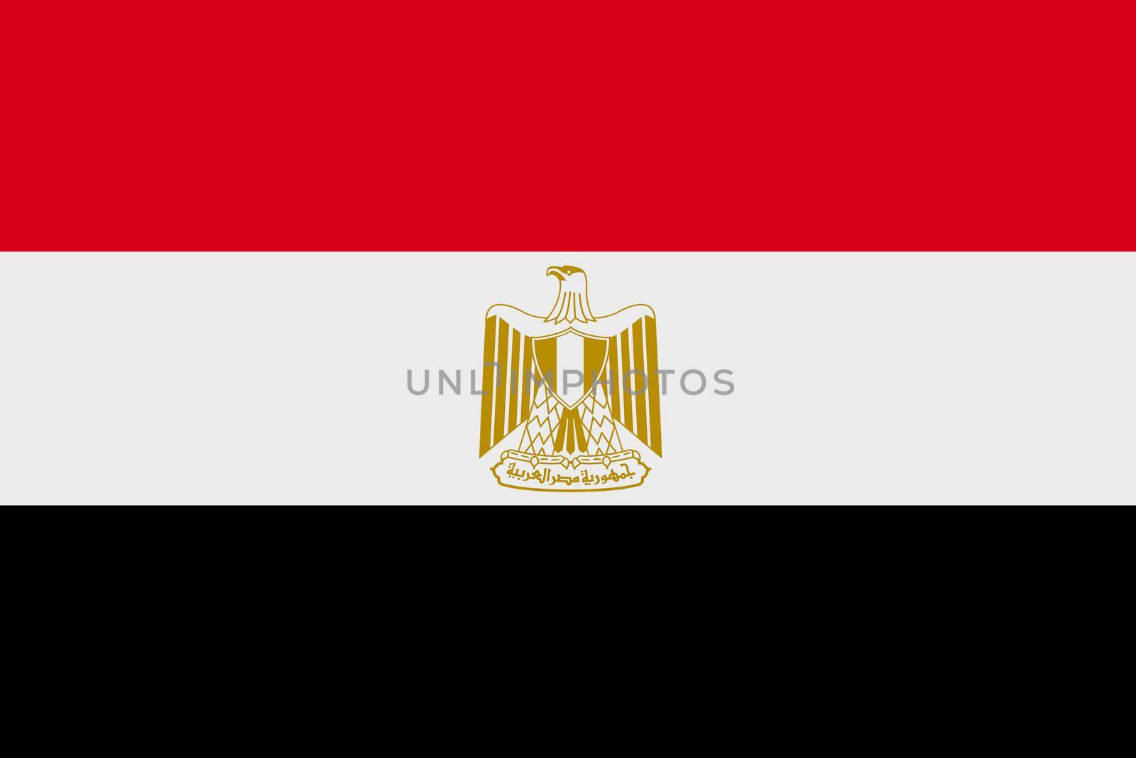 An Egypt flag background illustration red white black Eagle of Saladin