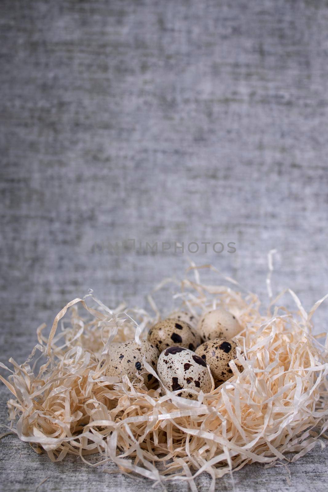 composition of quail eggs in a nest of dry grass or Wheat, oats, millet. with free space for text advertising of food or restaurant menu design. Healthy food concept. by oliavesna