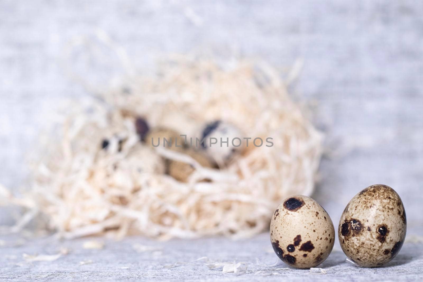 composition of quail eggs in a nest of dry grass or Wheat, oats, millet. Healthy food concept. with free space for text advertising of food or restaurant menu design.