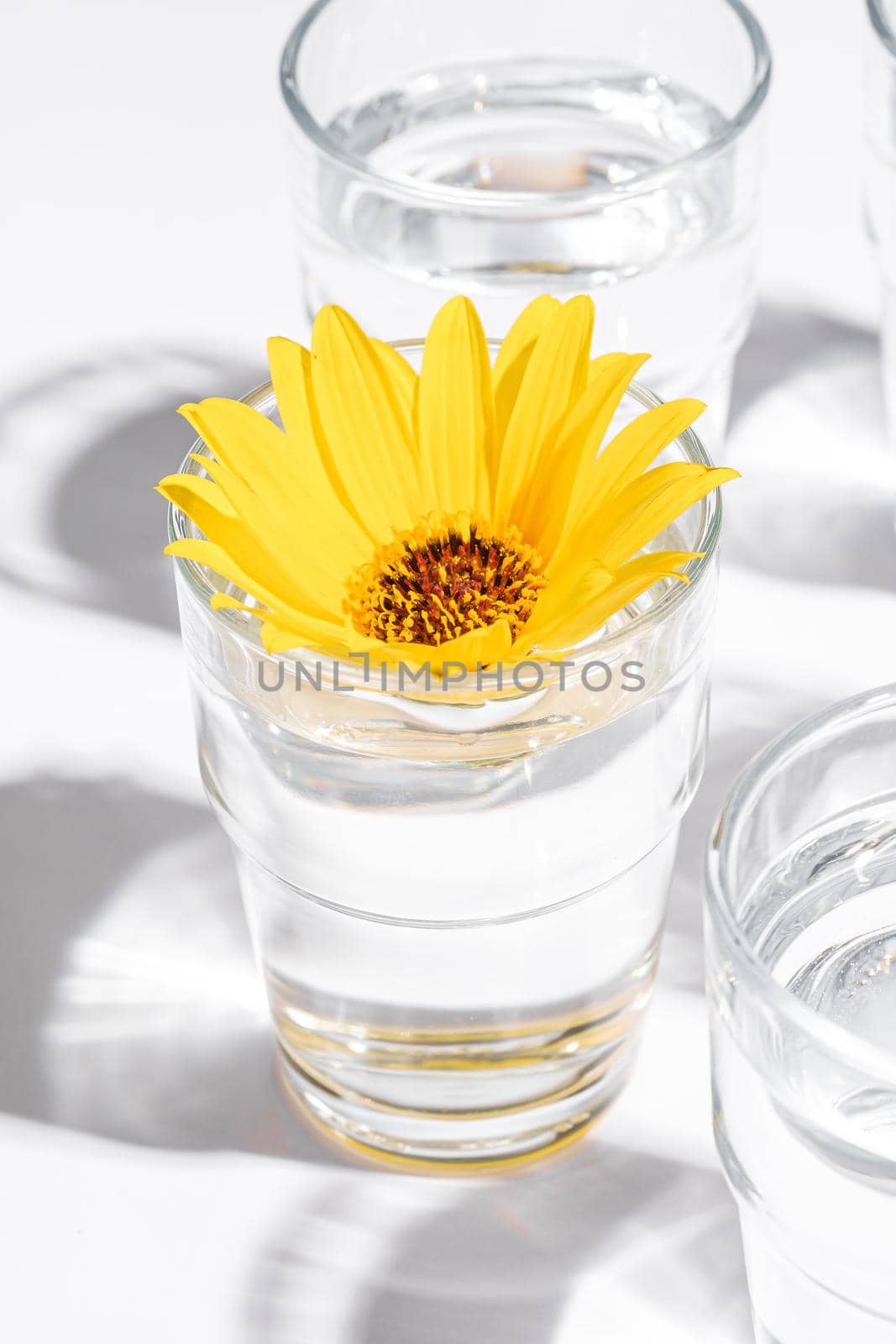 Fresh clear water drink with yellow flower in glass on white background, hard light creative composition, angle view by Frostroomhead