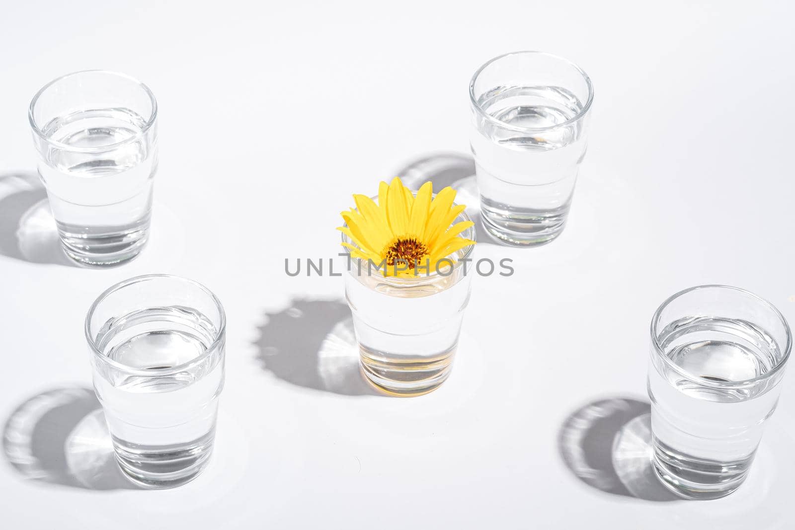 Fresh clear water drink with yellow flower in glass on white background, hard light creative composition, angle view