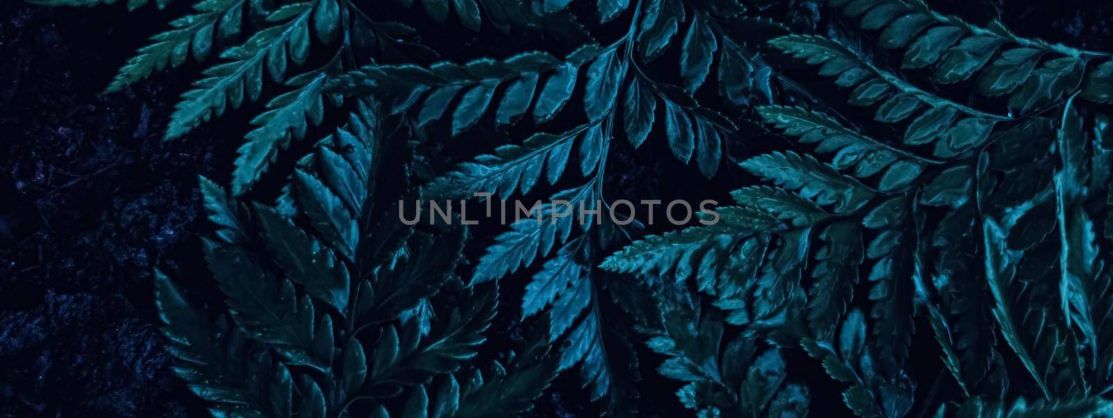 Blue plant leaves at night as surreal botanical background, minimal design backdrop