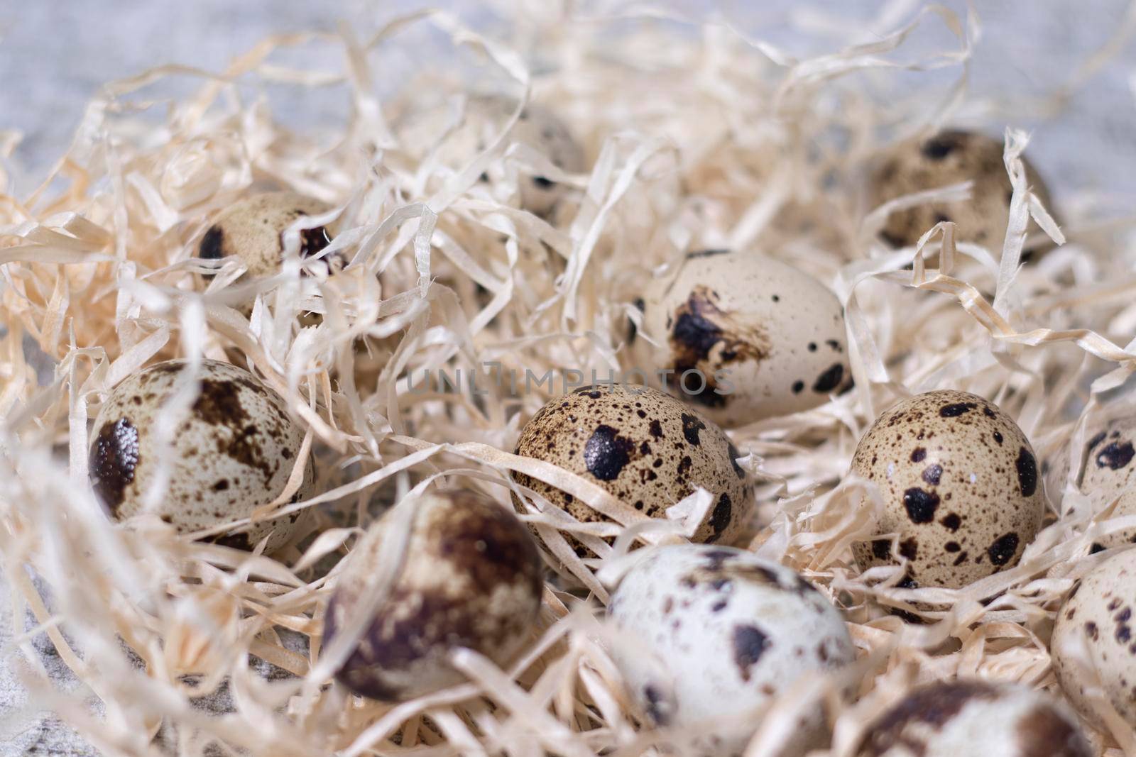 close up of quail eggs in a nest of dry grass. copy space for advertising of food or restaurant menu design. easter eggs by oliavesna